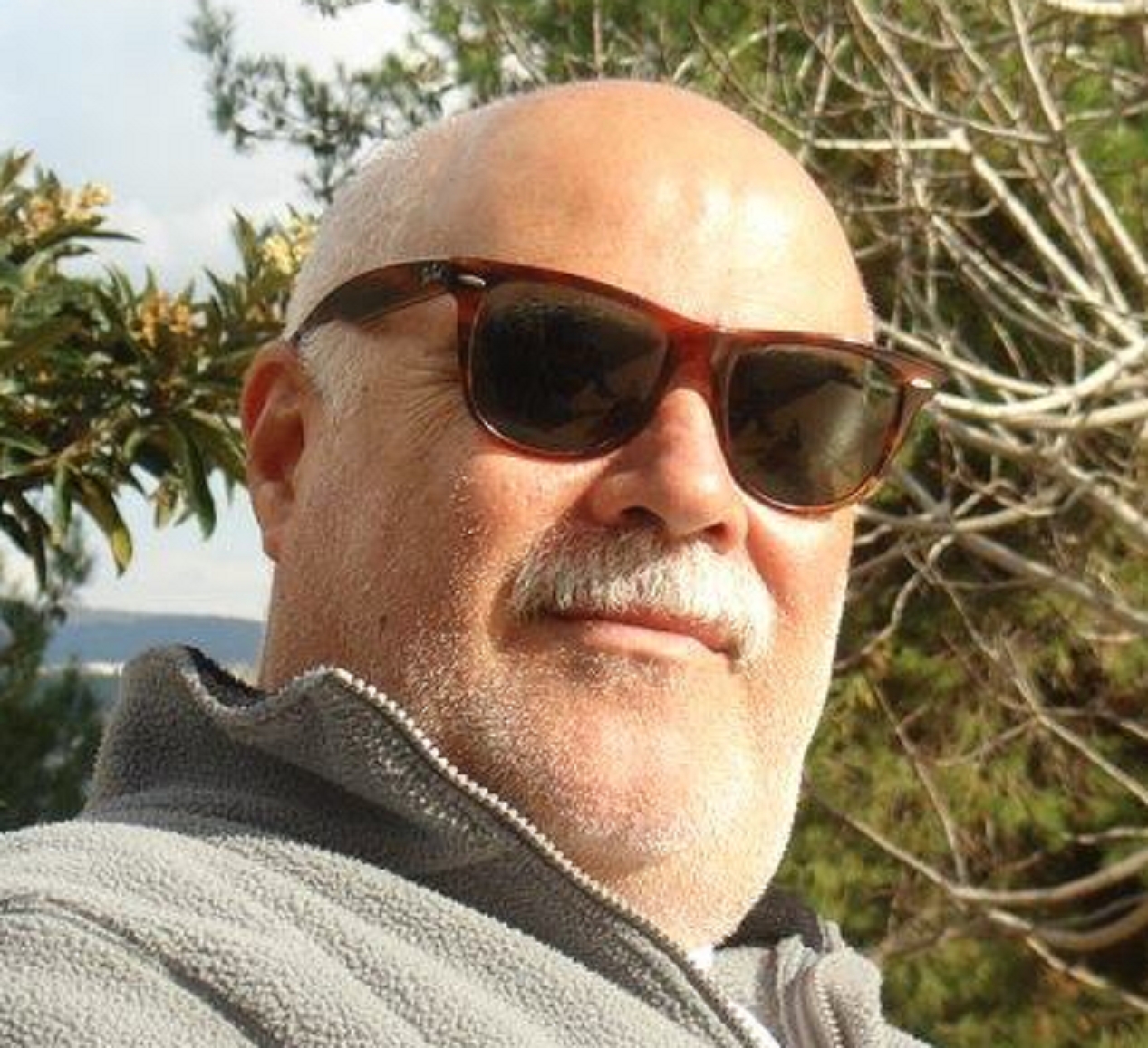 רפי שדמי מומחה בייצוג כוס ומנוש להפקת תועלות כלכליות