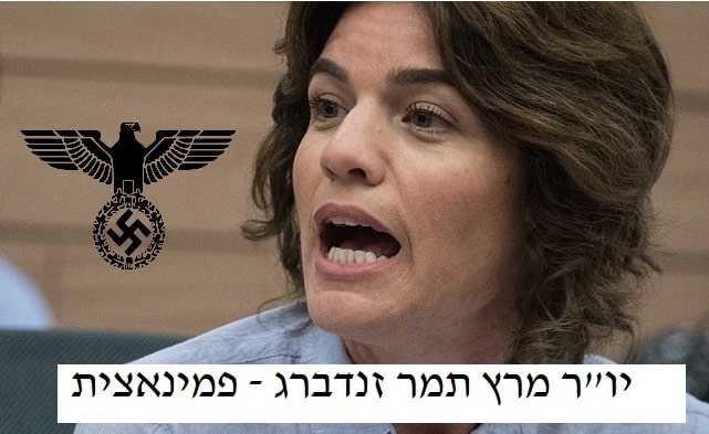 תמר זנדברג - פמינאצית