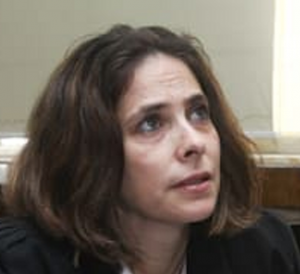 אתי בן דור פרקליטה נחש צפע תפרה תיקים לביבי דוד ביתן וגל הירש