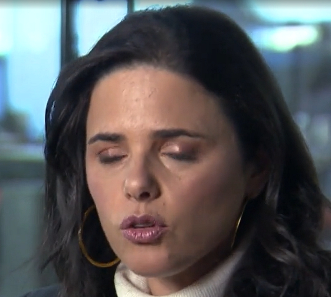 אילת שקד שרת משפטים כושלת ליקקה תחת לשי ניצן ואפי פלמור