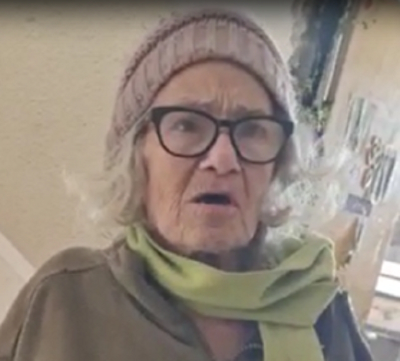 סוזן פריימן עורכת דין בת 82 חולת נפש התלבשו עליה נוכלים לעקיצות