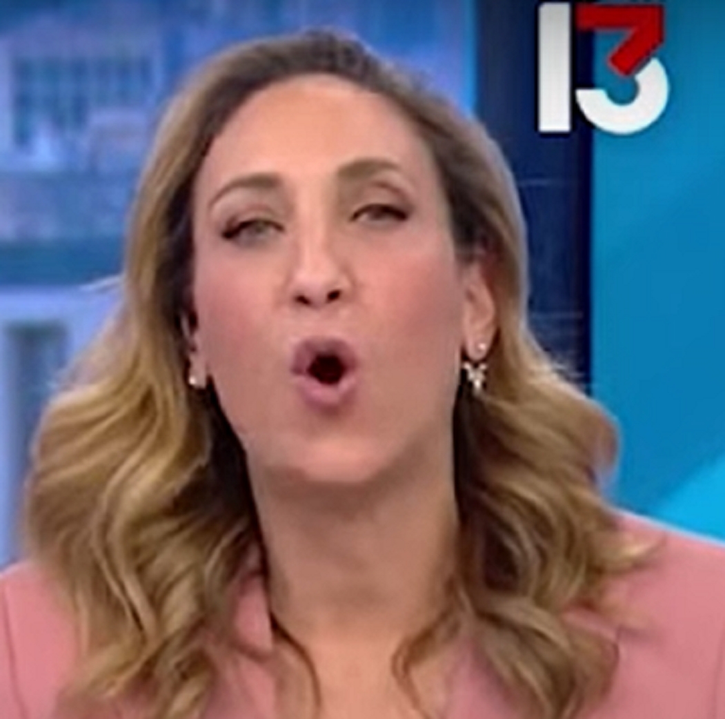 מיה איידן שופרית שקרים של הפרקליטות ושדולות הנשים והווגינות