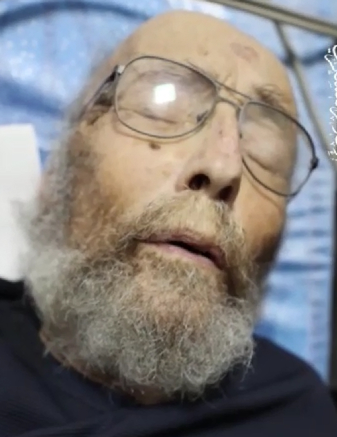 אריה זלמנוביץ בשבי החמאס