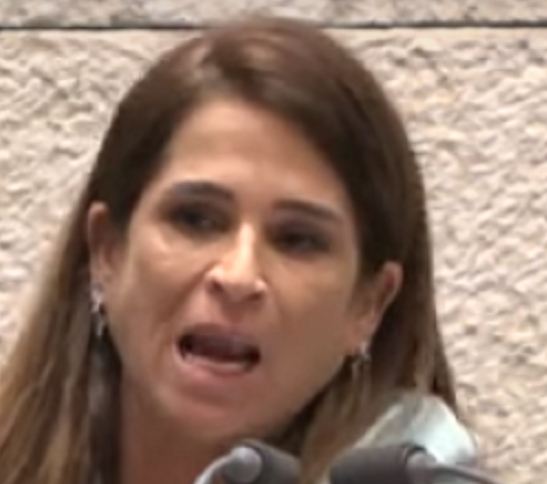 מירב בן ארי כלבת הנוחבה הפמיניסטית חושקת בזרע של חיילים מתים
