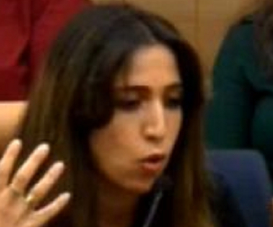 מצדה מצלאווי בהמת מגדר שודדת זרעים של חללי צהל