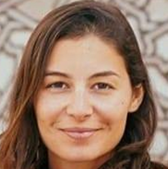 הגר טייב טמיר המליצה להעמיד לדין את שרי אריסון על שוחד באפריקה