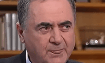 ישראל כץ זרגג לגלי ברהב מיארה את הכוס